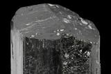 Terminated Black Tourmaline (Schorl) Crystal - Madagascar #174153-1